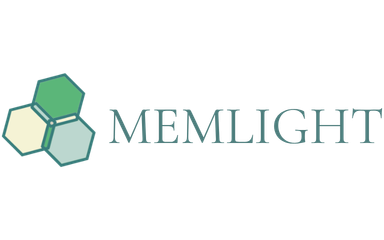 Memlight Logo 384x240